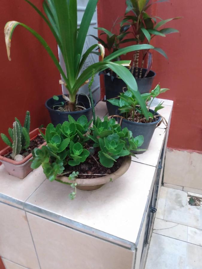 Hospedaria Namastê Peruíbe Extérieur photo